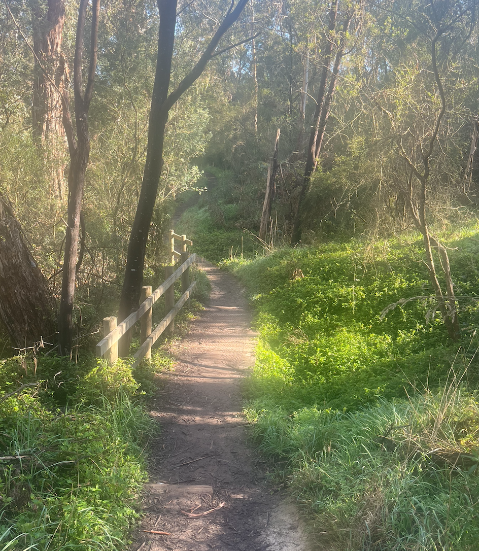 Environment Victoria begins push for clean energy at state election post image