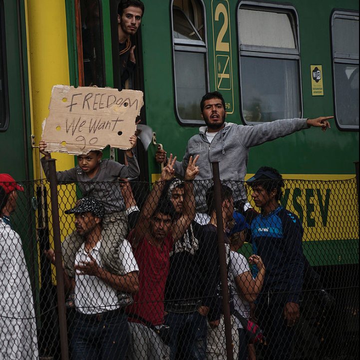 Poll: Should Australia increase its refugee intake? post image