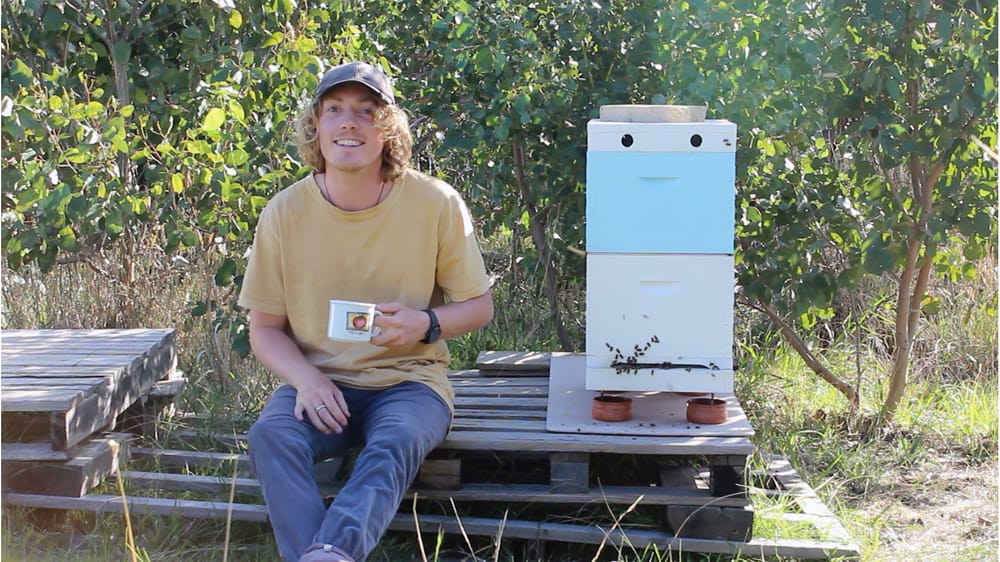 Coastal Nectar: A buzzing new beekeeping project post image