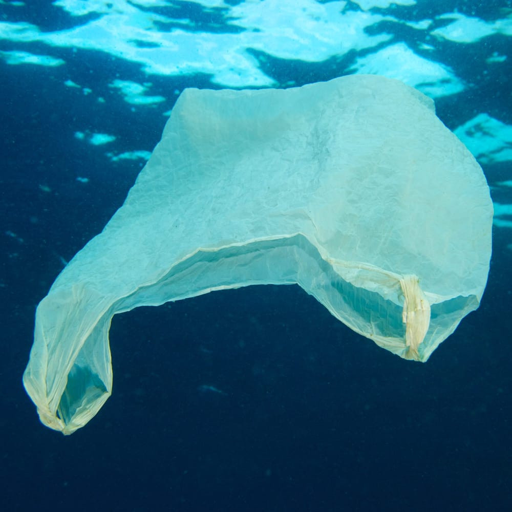Campaign to ban plastic bags gains momentum post image