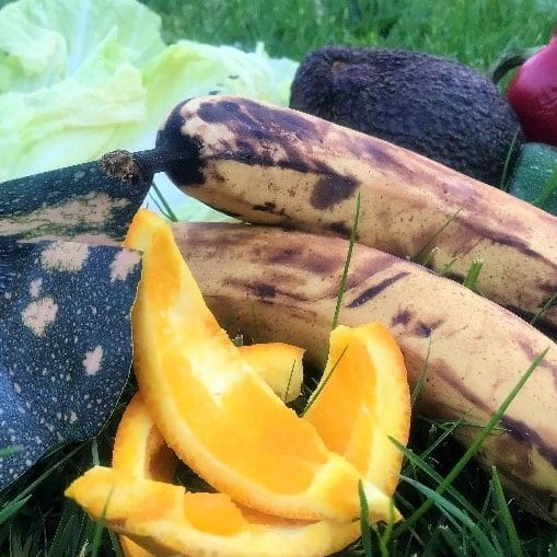 Finding profits in food scraps: Students and academics aim for creative solutions post image