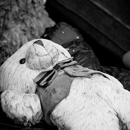 Healing journey for a victim of abuse post image