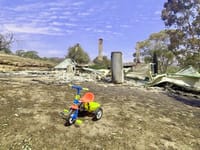 A farmer returns to ashes and  charred landscapes post image