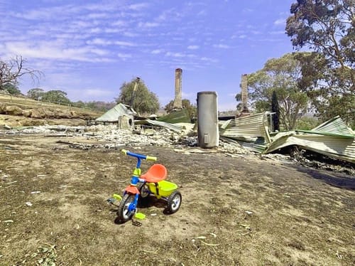A farmer returns to ashes and  charred landscapes post image