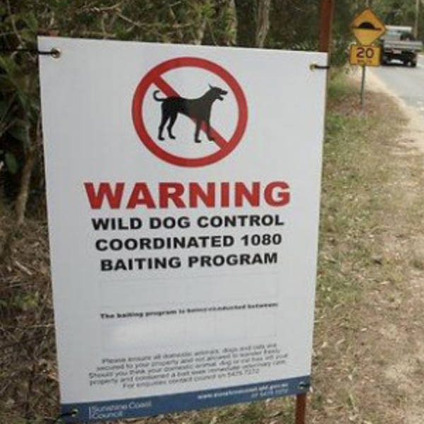 The poison bait debate: Feral dogs a serious threat, warns trapper post image