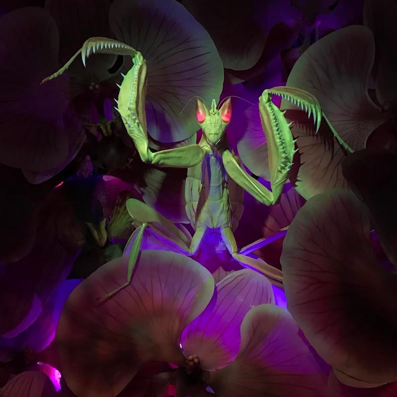 Science meets Hollywood as extraordinary bugs take centre stage post image