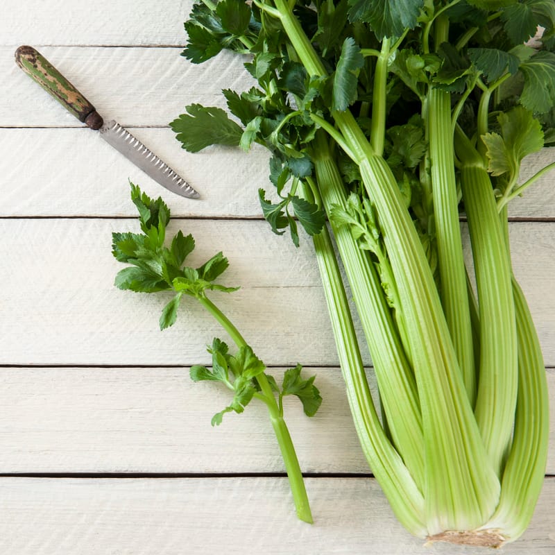 Farming in South Gippsland: access to water the key to expansion post image