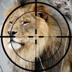 ‘Ethical’ hunters feel endangered as Australia cans trophy hunting post image