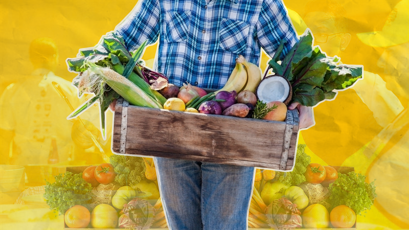 Community unites to provide food relief for struggling Victorians post image