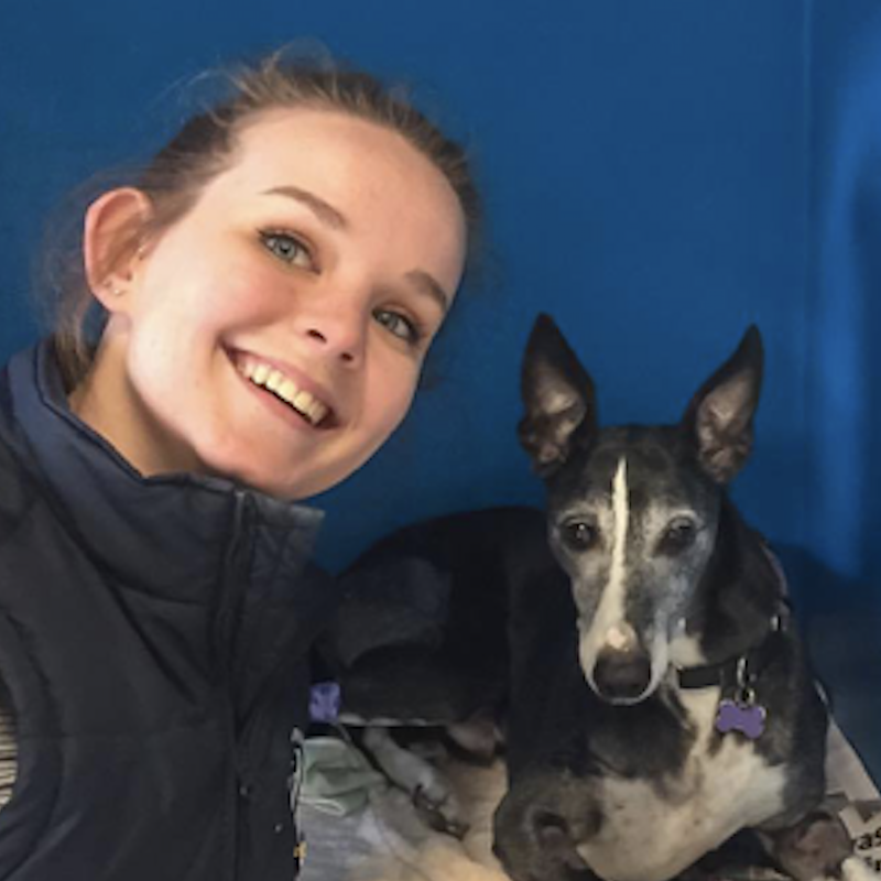 Pain of 'production line' animals post image