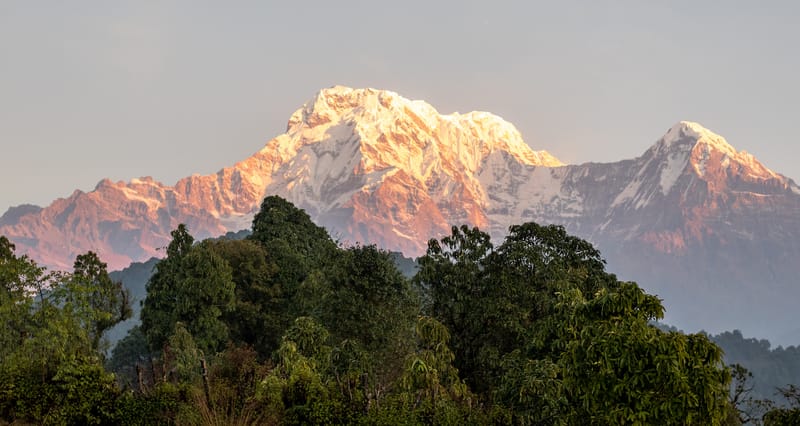 COVID-19 brings VisitNepal 2020 to a halt post image