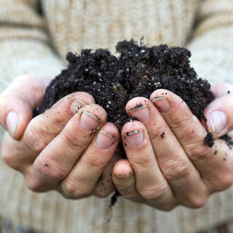 Sending food waste back to earth post image