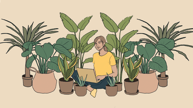 Victorians bring the outside in, as house plant sales grow during lockdown post image