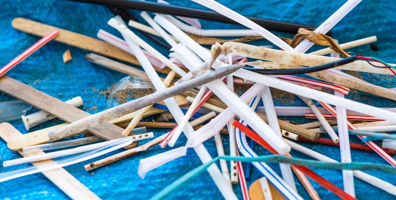 Plastic straw bans not the whole answer, say disability activists post image