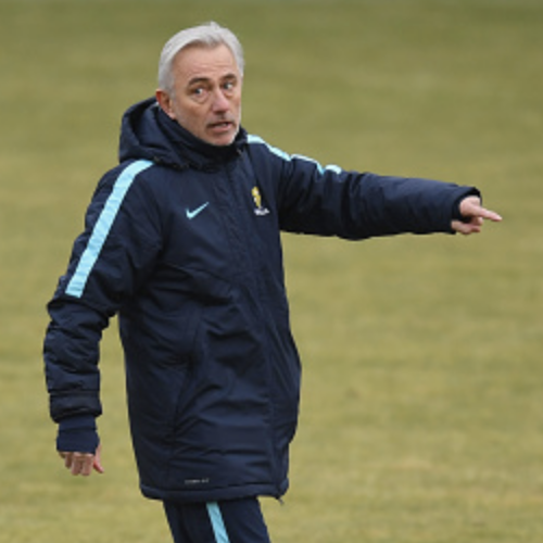 Socceroos: International friendlies pose big questions for a new coach post image