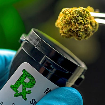 Pressure grows on push to legalise medical marijuana post image