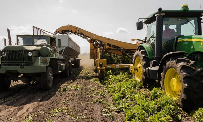 Don't have a cow: report finds becoming vegetarian will reduce climate change post image