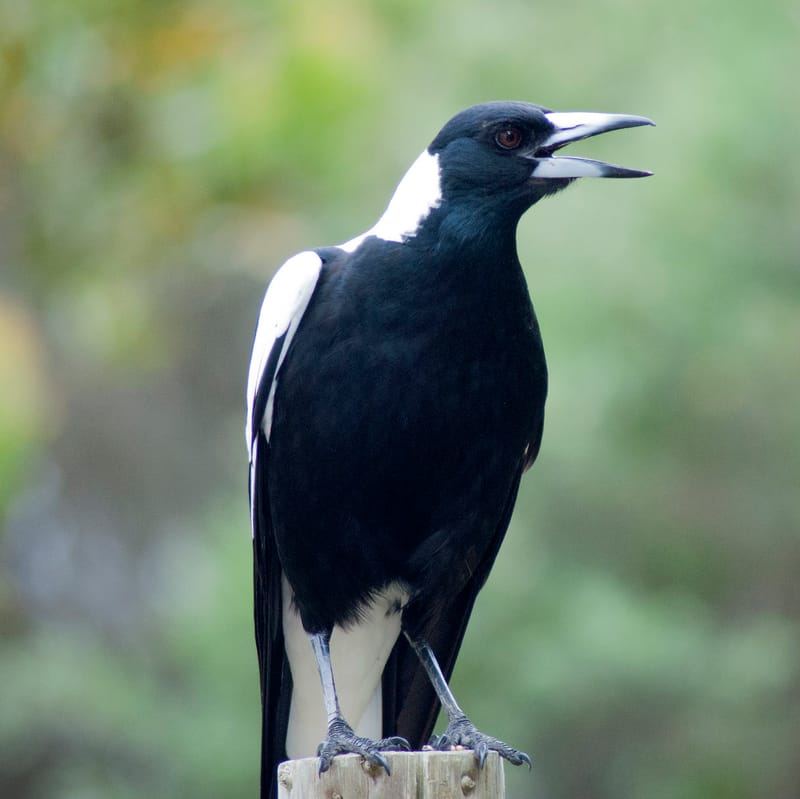 Get a bird's eye view on our city's health post image