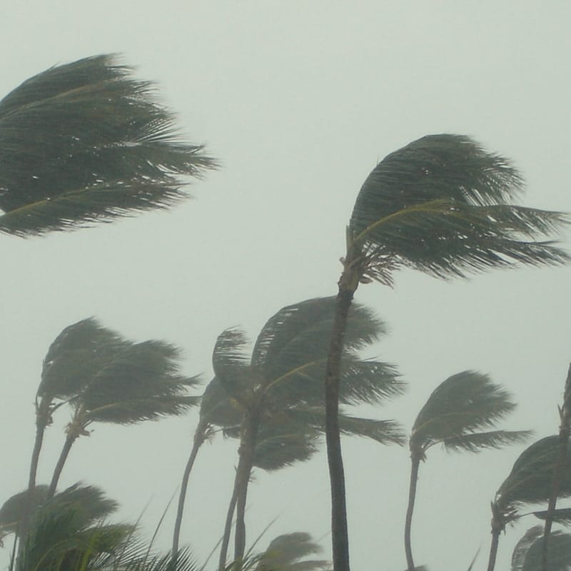 Peace and Gender: 'In a disaster, there is no safe space for women' post image