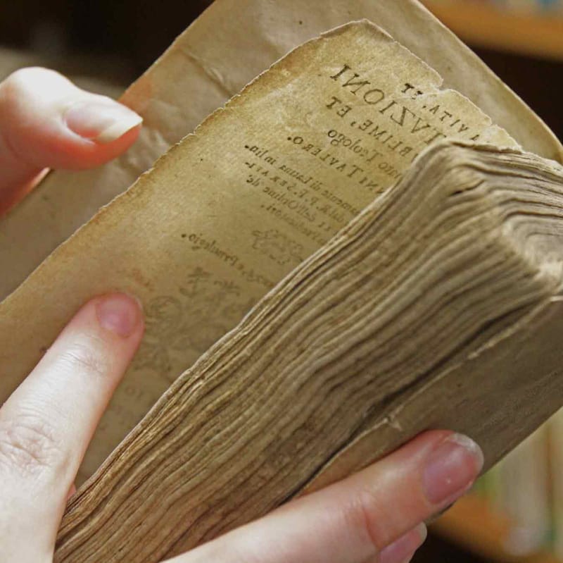 Life of a rare books librarian: A passion for knowledge and fairy tales post image