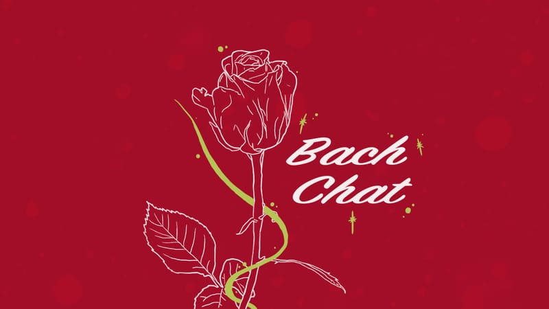 Bach Chat: Blonde tropes, oiled-up blokes and outback dates post image