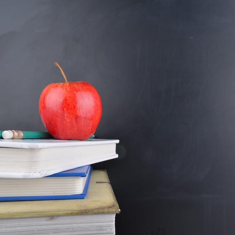 Job security a must, say teachers and parents post image