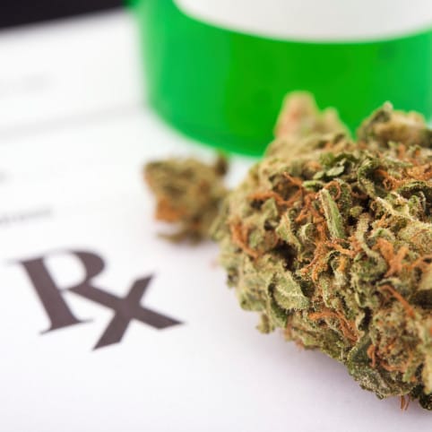 Drop these charges: Medical cannabis supplier looks to a legal future post image