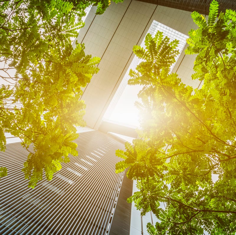 City on track for carbon neutral status post image