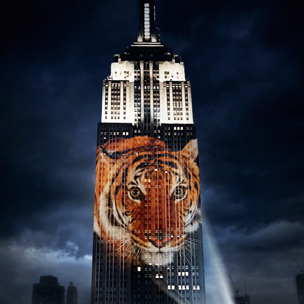Review: Racing Extinction post image