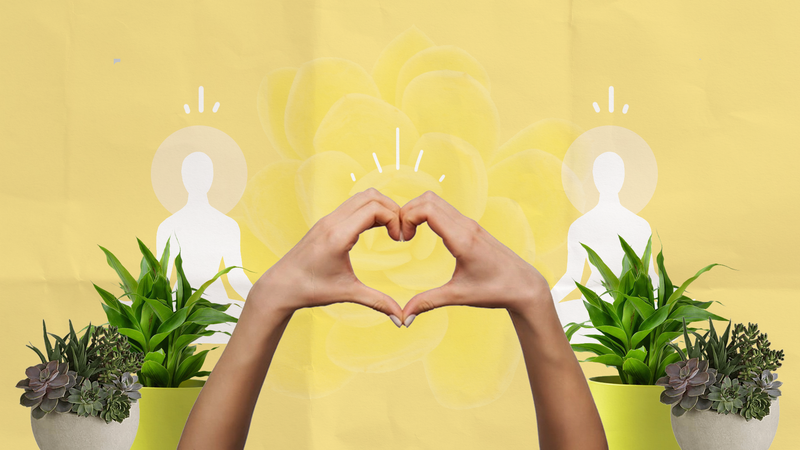 Locked down for more than 200 days, but we are still grateful post image