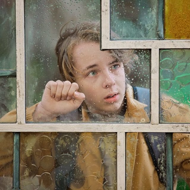 The Butterfly Tree: full of arthouse nectar post image