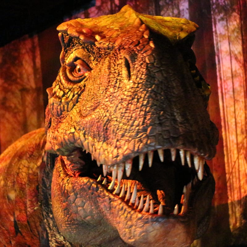 A walk through science fiction post image