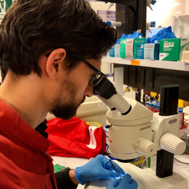 Monash researcher goes ‘out on a limb’ post image