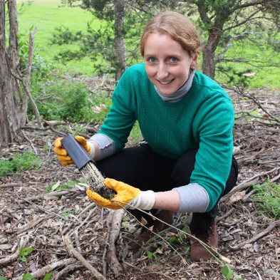 Saving lives with urban forests post image