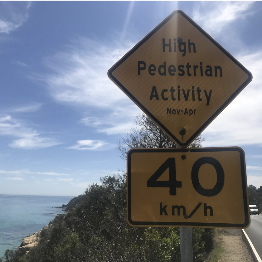 Social media turns locals' secret into the new hot spot for teens post image