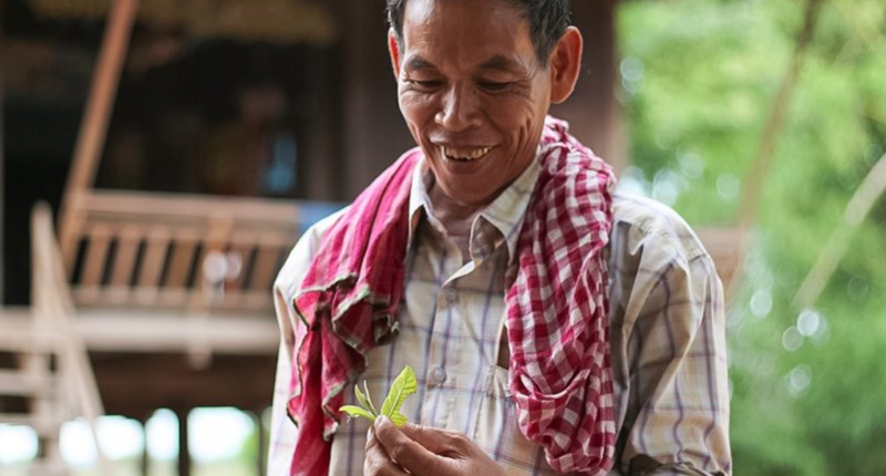 Natural remedies take a sting as Cambodians look west post image