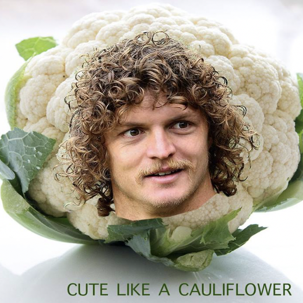 The Best of the Bach: We're hot on Badgy's tail and basking in some Sunshine post image