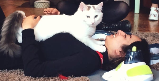 Café hits a purr-fect note with cat lovers post image