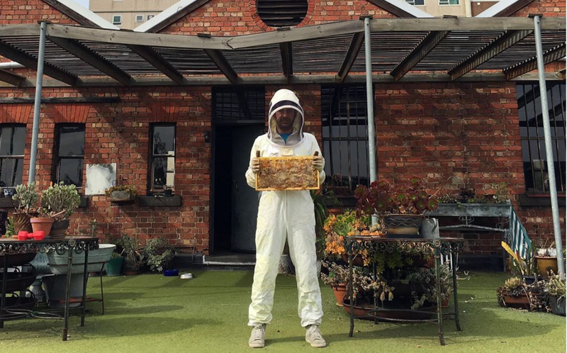 Beekeepers using city rooftops to protect precious colonies post image