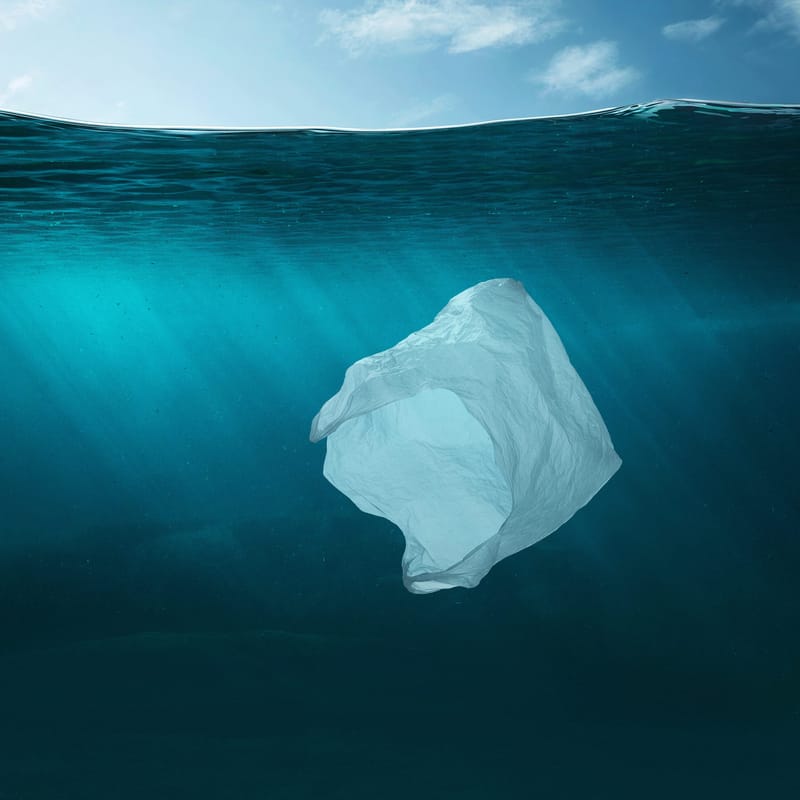 Plastic is plastic: A greener alternative to reusable bags post image