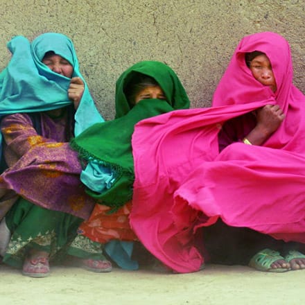 A recipe for happiness for persecuted Hazara post image