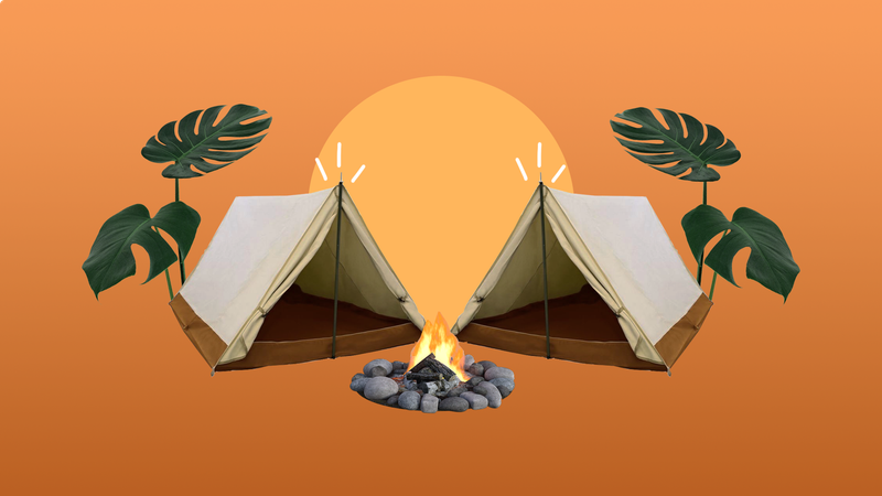 Domestic tourism boom as Victorians head to the regions post image