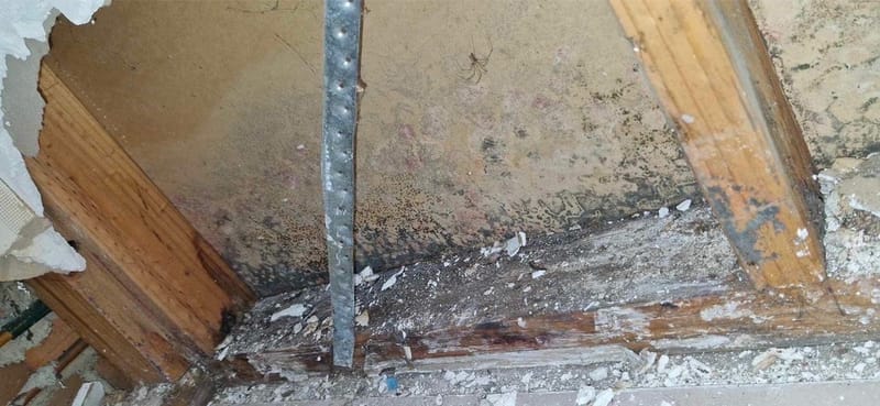 ‘Nobody wants to help me’: Pleas to fix ‘unliveable’ social housing in Victoria post image