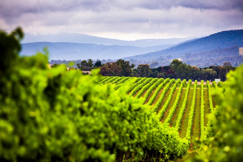 Yarra Valley air to be monitored for dangerous back-burning gases, residents want scheme extended post image